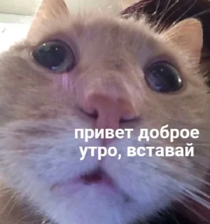 😎 emoji хуйня Telegram sticker 6 of 31
