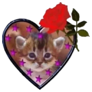 💖 emoji заговор Telegram sticker 14 of 22