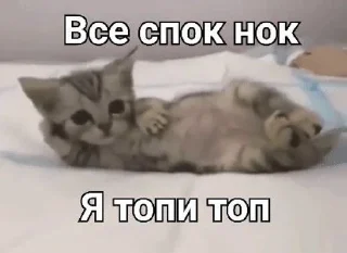 🌟 emoji ТОПИ ТОПП Telegram sticker 8 of 23
