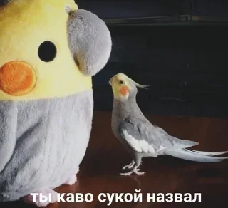😡 emoji я люблю людей Telegram sticker 14 of 89