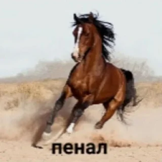 🤬 emoji гыг2 Telegram sticker 14 of 53