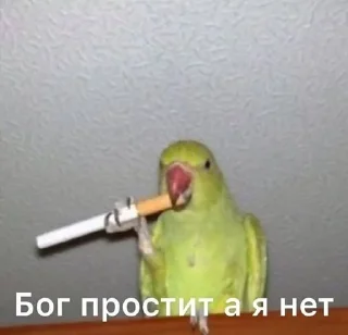 🌟 emoji Лютый пон Telegram sticker 24 of 86