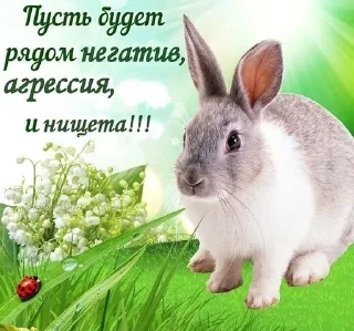 🥰 emoji Милые открытки ☺️ Telegram sticker 23 of 77
