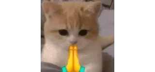 🙏 emoji карточки коммуникации Telegram sticker 24 of 120
