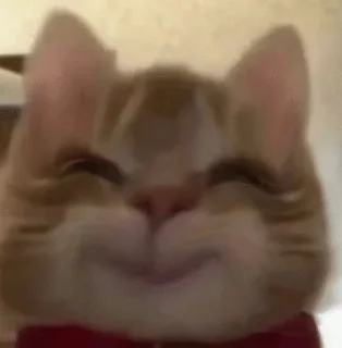😉 emoji карточки коммуникации Telegram sticker 9 of 120