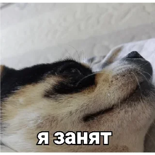 😒 emoji осек Telegram sticker 6 of 53
