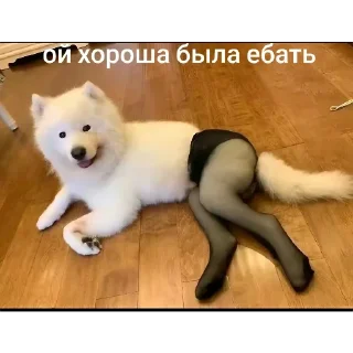 👍 emoji Ebatloxov Telegram sticker 22 of 106