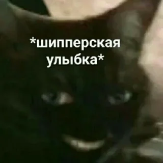 Sticker from Бывает