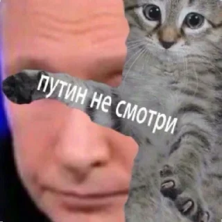 😄 emoji Бывает Telegram sticker 7 of 60