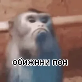😜 emoji Разни пон Telegram sticker 10 of 50