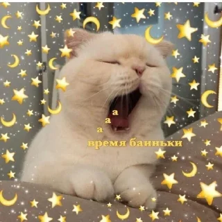 🌟 emoji На все случаи жизни 2.0 Telegram sticker 12 of 50