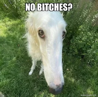 🙄 emoji как же он хорош Telegram sticker 5 of 32