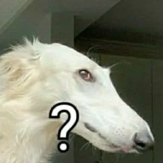 ❓ emoji как же он хорош Telegram sticker 14 of 32