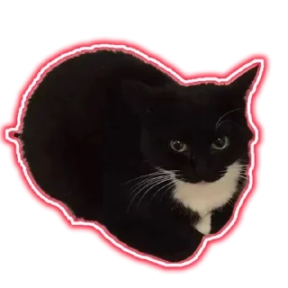 ☮️ emoji Grow Castel Telegram sticker 24 of 52