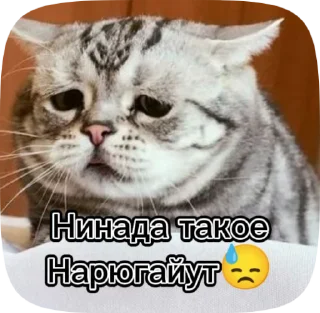 😓 emoji Мега супер крутые стикеры Telegram sticker 15 of 50