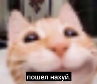 🌟 emoji нефары. Telegram sticker 21 of 80
