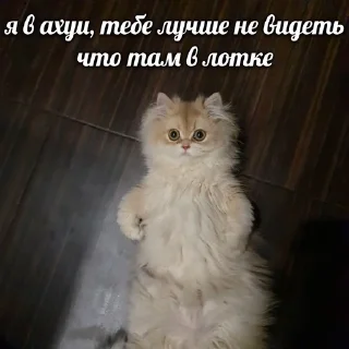🌟 emoji НОРМИС (Цири) Telegram sticker 15 of 118