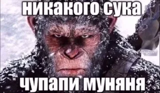 Sticker from ЧУПАПИ МУНЯНЮ