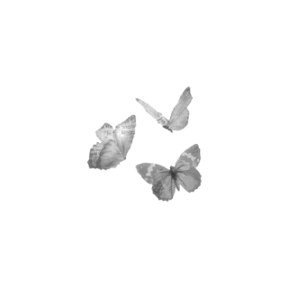 🌟 emoji БОЛЬШЕ ⇨ @CLOOBHUB КАРМИЛЛА КАРМАЙН ОТЕЛЬ ХАЗБИН Telegram sticker 19 of 34