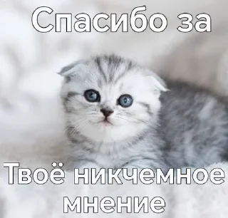 Sticker from жизненные стикеры:3