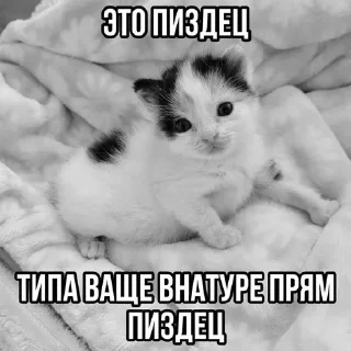 🌟 emoji пиздццц Telegram sticker 19 of 19