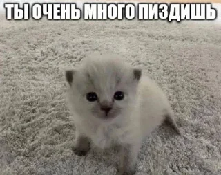 😒 emoji людоеды | @j0kullse Telegram sticker 5 of 115
