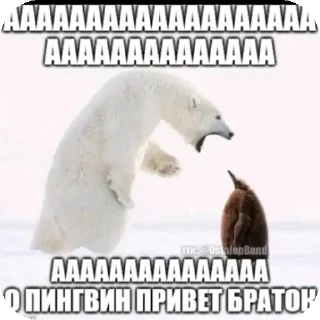 Sticker from Пиздец что это