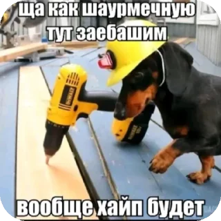 🖼 emoji Пиздец что это Telegram sticker 17 of 36