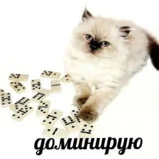 🥸 emoji пиздец Telegram sticker 20 of 86