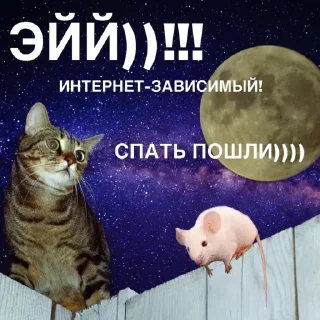 😴 emoji Ким Кардашьян Telegram sticker 16 of 32