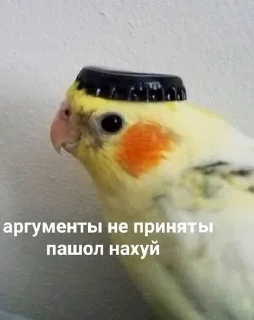 🌟 emoji ахуенни птицы от йеши
@kittcat Telegram sticker 7 of 19