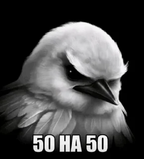 🌟 emoji Птицы сомнения @joziesittv Telegram sticker 24 of 120