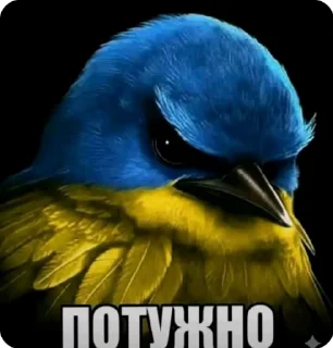 🌟 emoji Птицы сомнения @joziesittv Telegram sticker 14 of 120