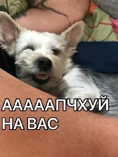 🌟 emoji Отсоси-потом проси Telegram sticker 22 of 27