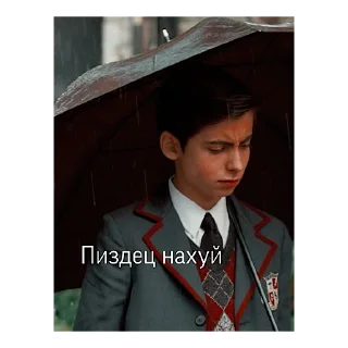 🗿 emoji ПяТыЙ смысл жизни Telegram sticker 14 of 68