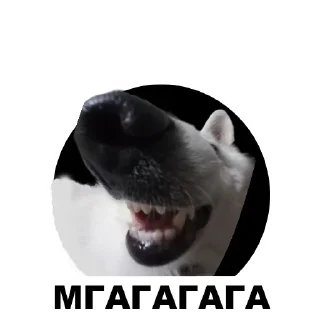 🤣 emoji Муркинский движ Telegram sticker 9 of 120