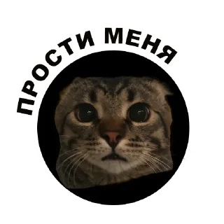 🙏 emoji Муркинский движ Telegram sticker 8 of 120