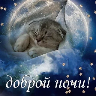 😴 emoji тшш котики спят Telegram sticker 21 of 78