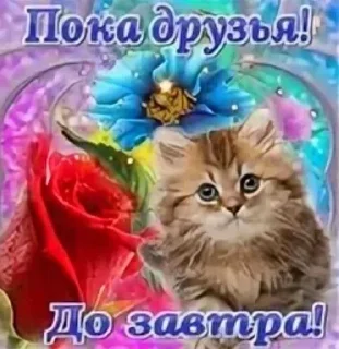 🙏 emoji коты и тексты Telegram sticker 8 of 33
