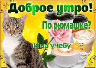 🥰 emoji коты и тексты Telegram sticker 7 of 33
