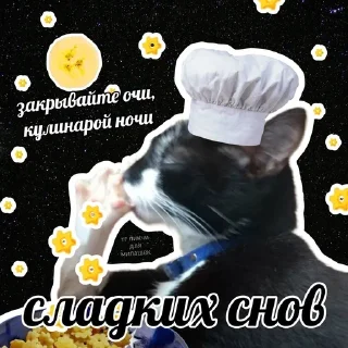 😴 emoji тшш котики спят Telegram sticker 7 of 78