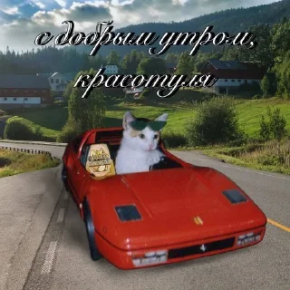 😴 emoji тшш котики спят Telegram sticker 8 of 78