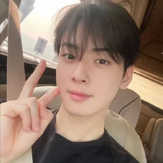 🤍 emoji Eunwoo Telegram sticker 1 of 50