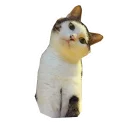🐱 emoji Kitten @TVstickers Telegram sticker 16 of 120