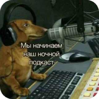 🐶 emoji Мемасики Telegram sticker 8 of 107
