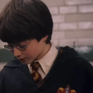 🌟 emoji Harry James Potter | @circlesec Telegram sticker 12 of 120
