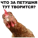 😐 emoji Петушары @eeZee_stickers Telegram sticker 16 of 42