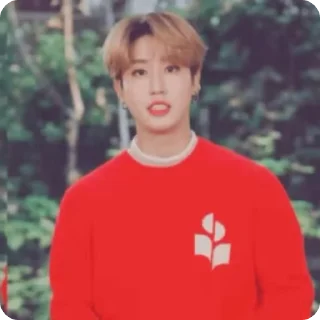 🫶 emoji Minsung imnida Telegram sticker 20 of 51