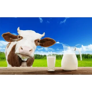 🥛 emoji Смачный молоко средули Telegram sticker 10 of 14