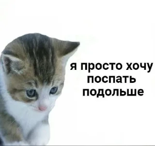 🌟 emoji что они творят Telegram sticker 16 of 100
